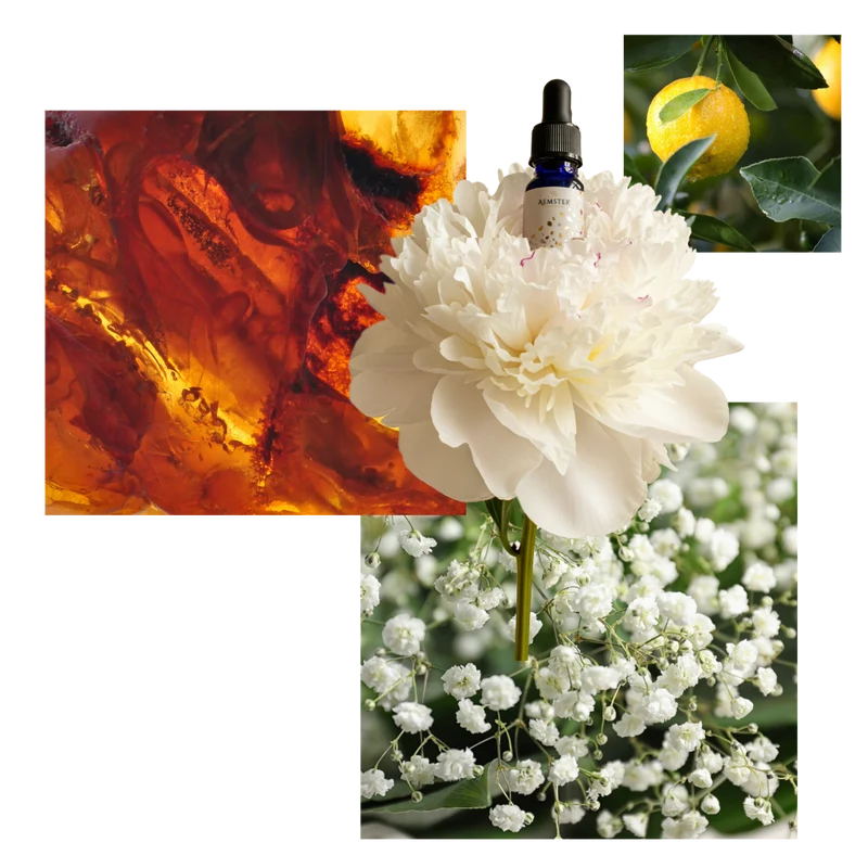 Wanaka Woods - Scent oil