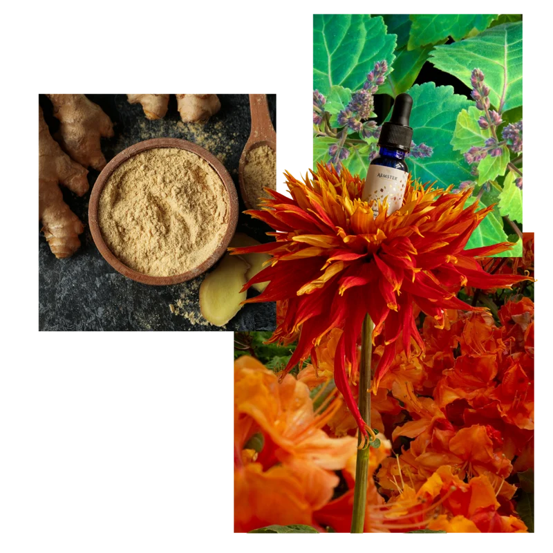 Sedona Spice - Scent oil