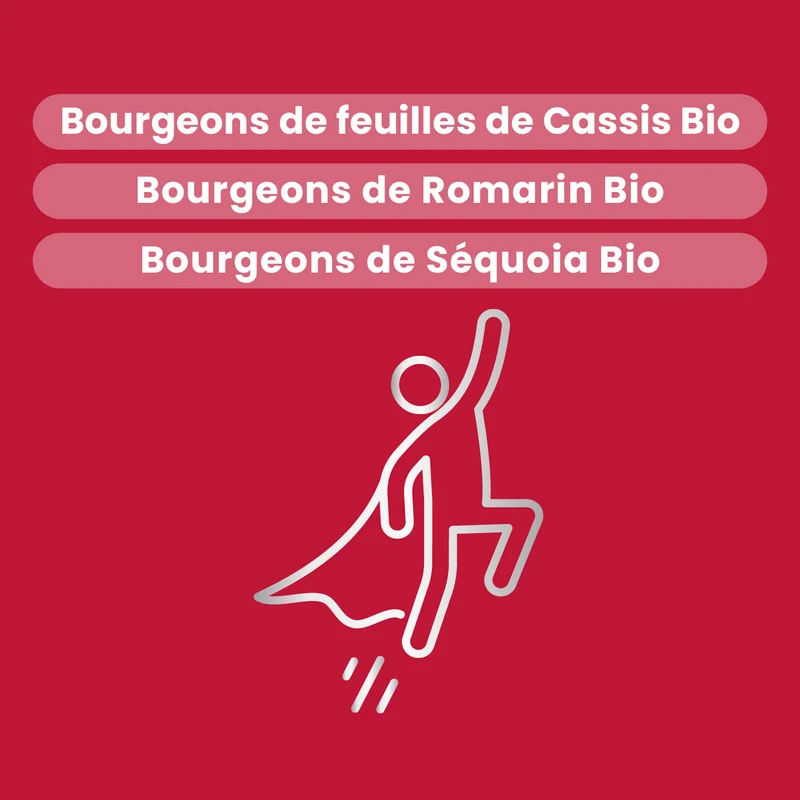 Macérat de Bourgeons - Énergie Bio