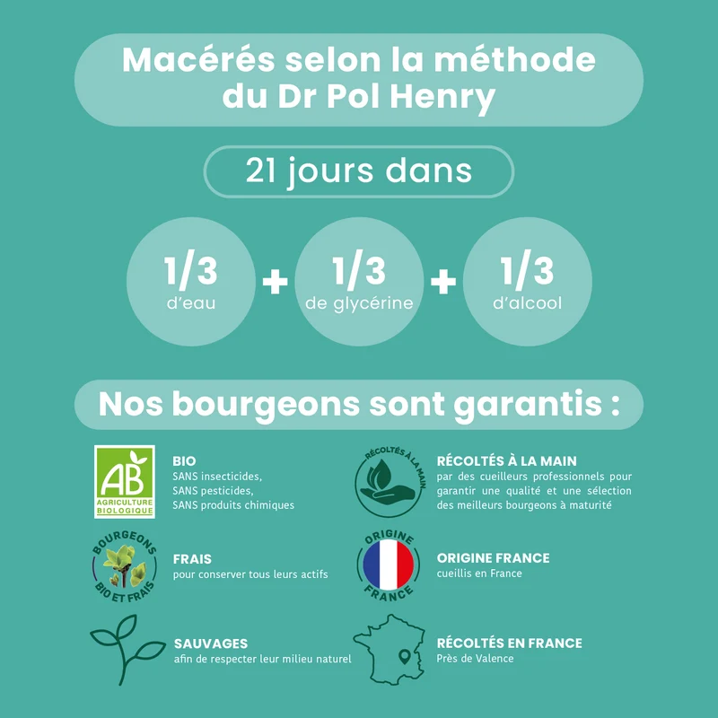 Macérat de Bourgeons - Chêne Bio