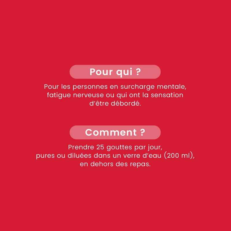 Macérat de Bourgeons - Charge Mentale Bio