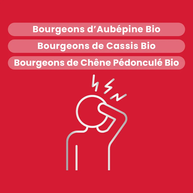 Macérat de Bourgeons - Charge Mentale Bio