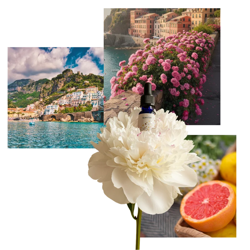 Redwood Riviera - Scent oil