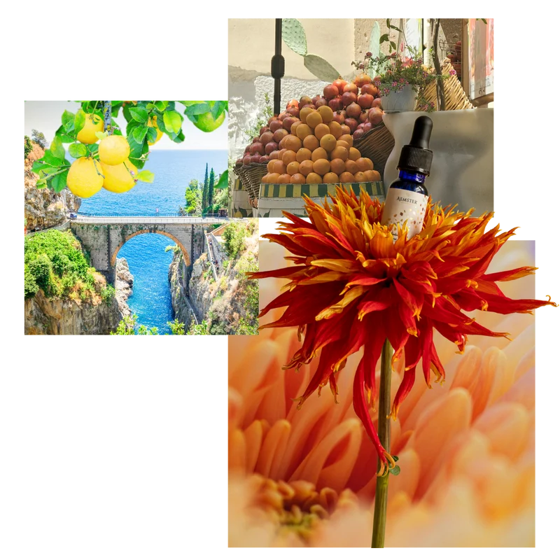 Affluent Atrium - Scent oil