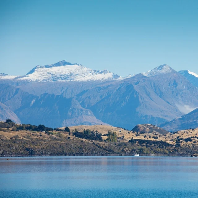 Wanaka Woods - Scent oil