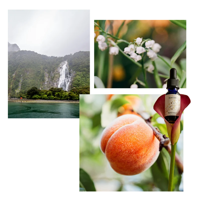 Floral Fiordland - Scent oil
