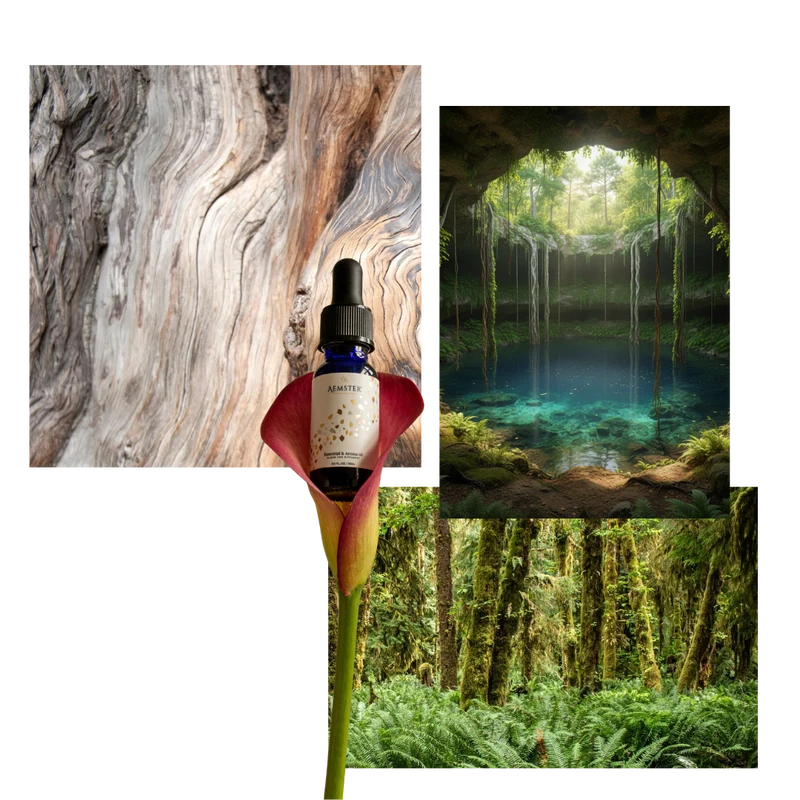 Cedar Cenote - Scent oil