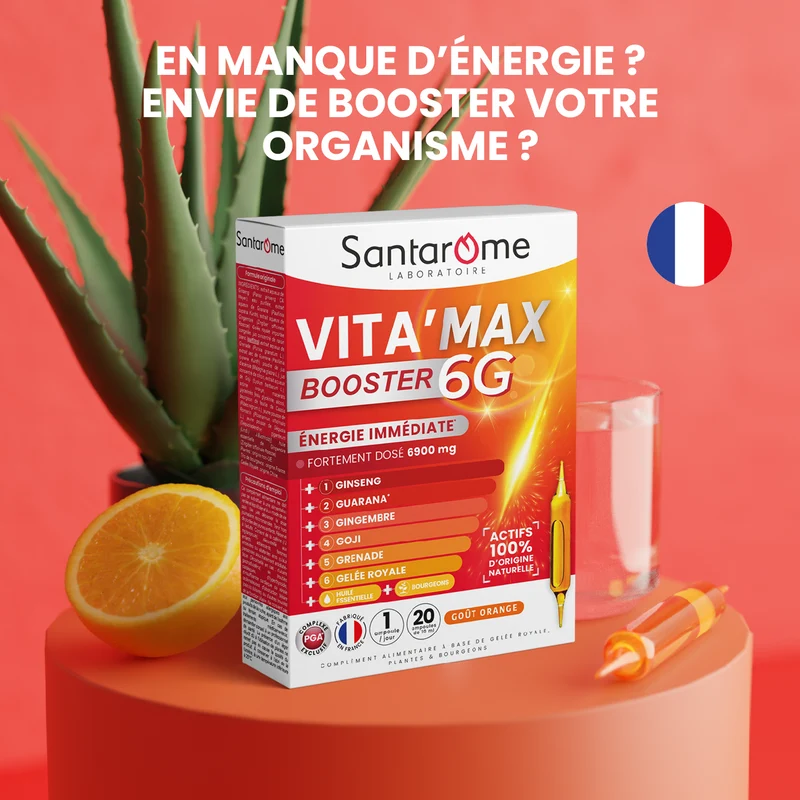 Pack Énergie & Mémoire