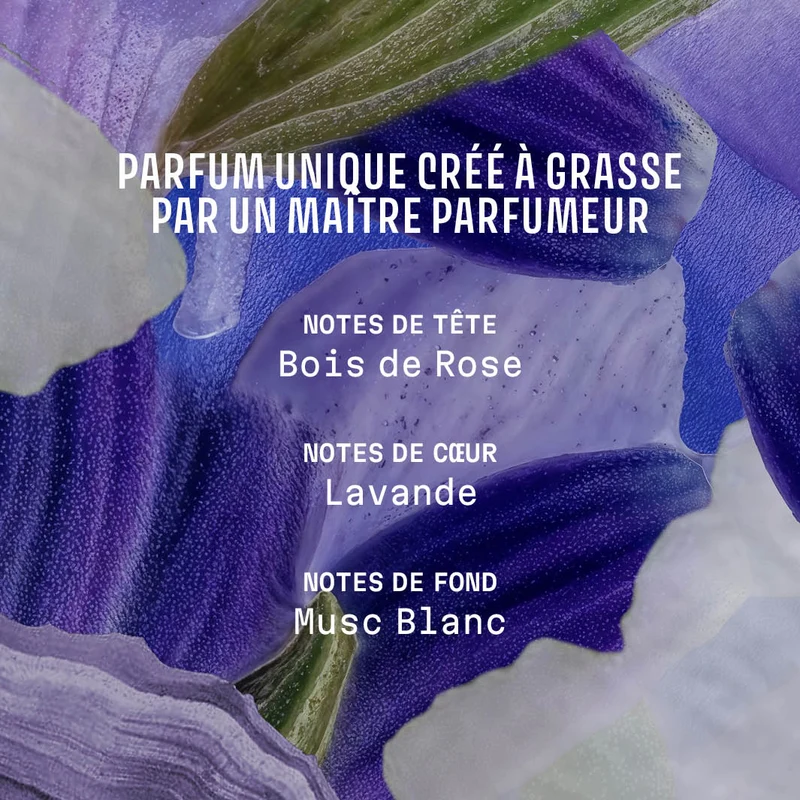Diffuseur de parfum d'ambiance – Lavande Iconique 100ml