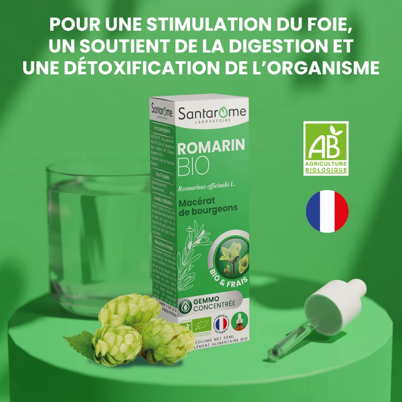 Macérat de Bourgeons - Romarin Bio