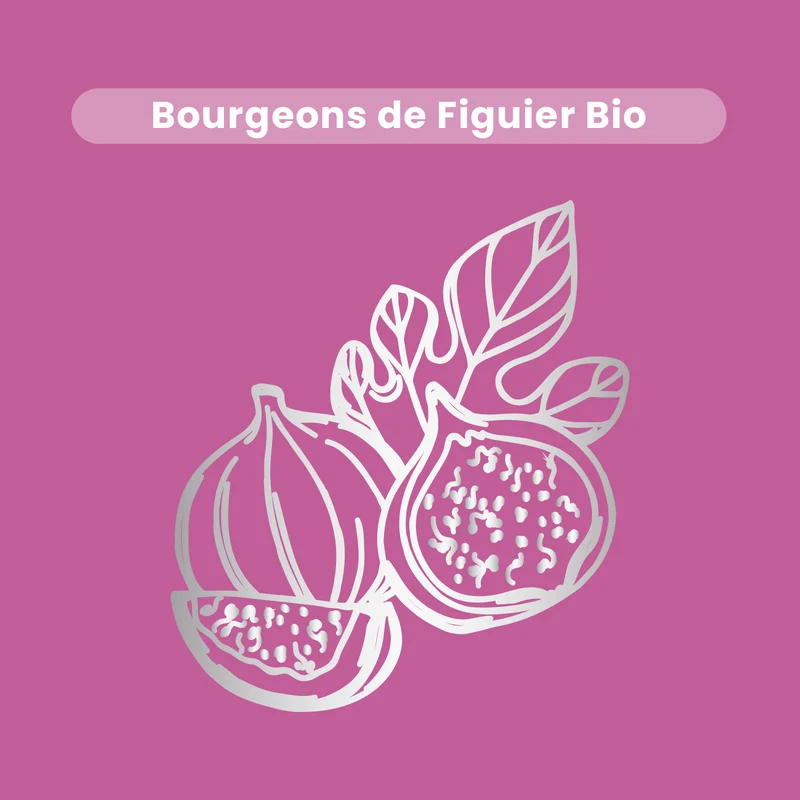 Macérat de Bourgeons - Figuier Bio