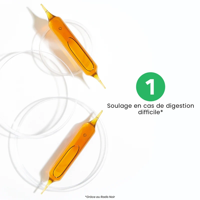 Radis Noir Bio - 20 ampoules