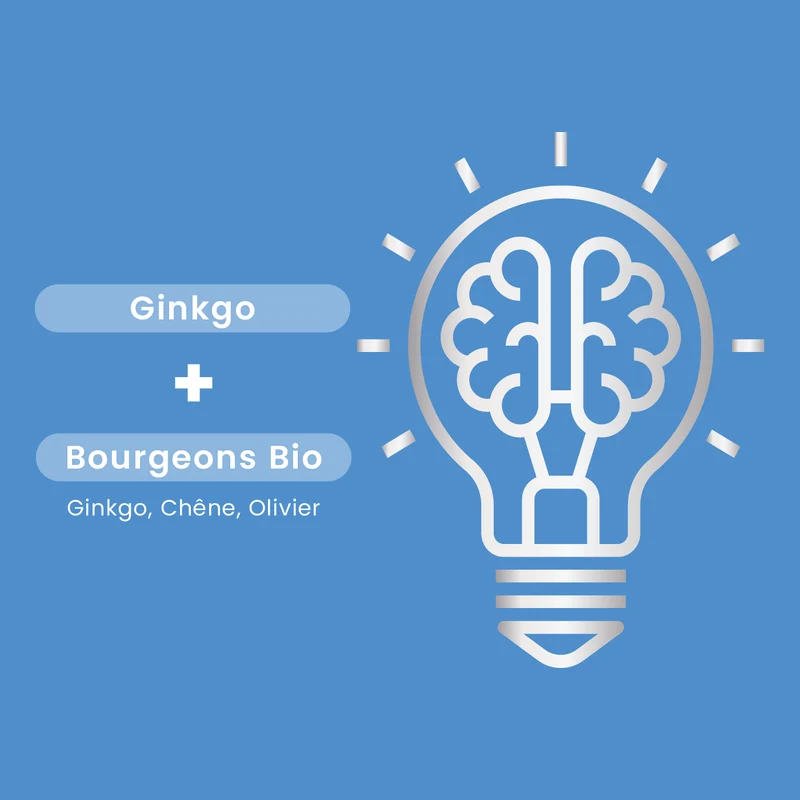 Ginkgo Bio 2000 - 20 ampoules