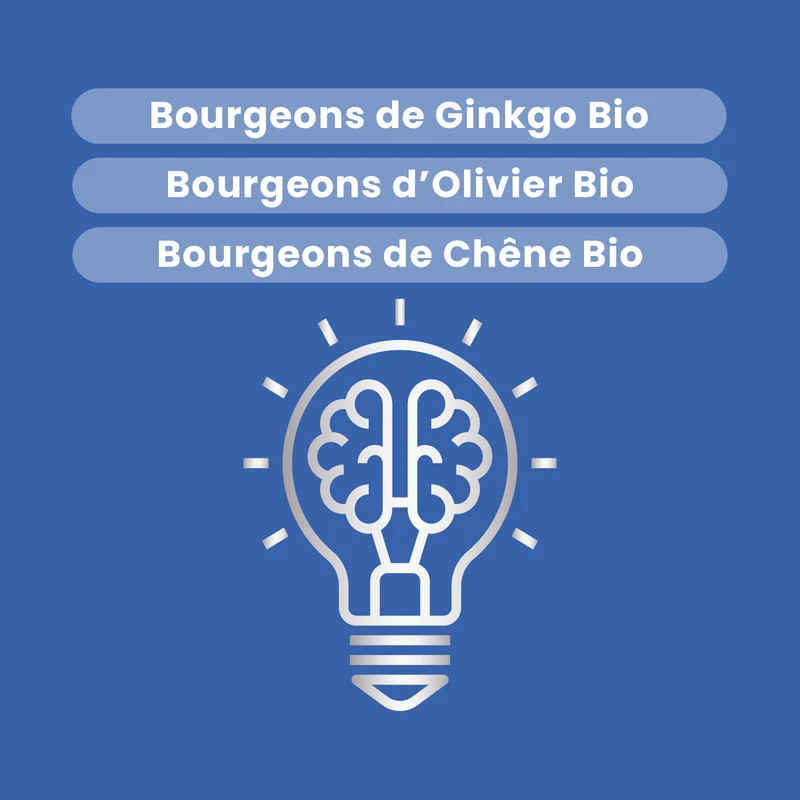 Macérat de Bourgeons - Mémoire Bio