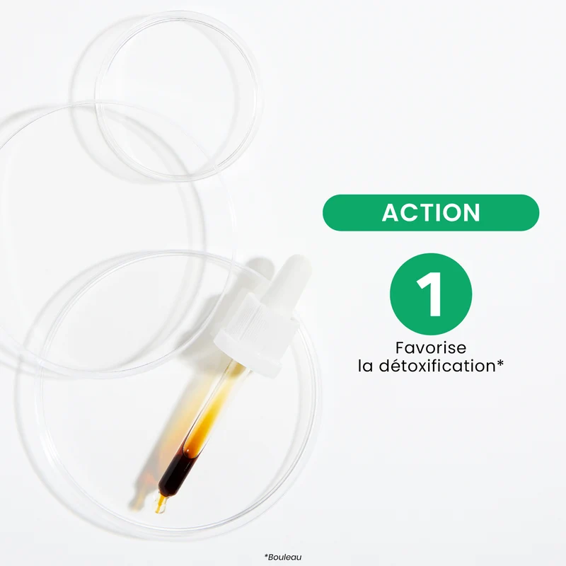 Macérat de Bourgeons - Détox Minceur Bio