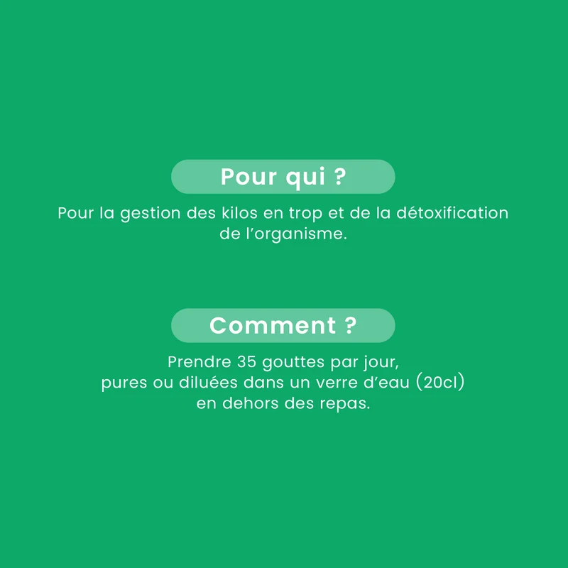 Macérat de Bourgeons - Détox Minceur Bio