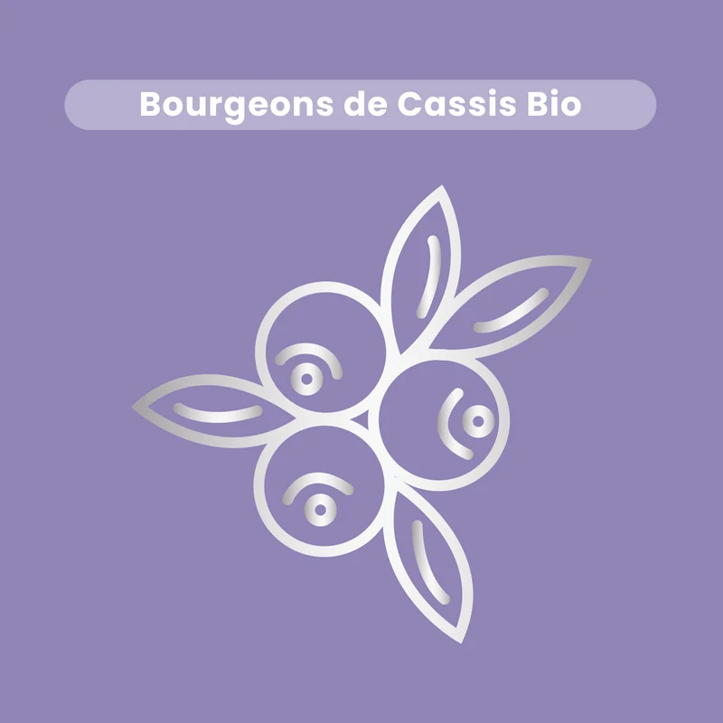 Macérat de Bourgeons - Cassis Bio