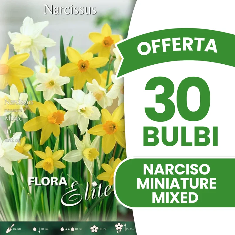 OFFERTA 30 BULBI NARCISO MINIATURE MIXED