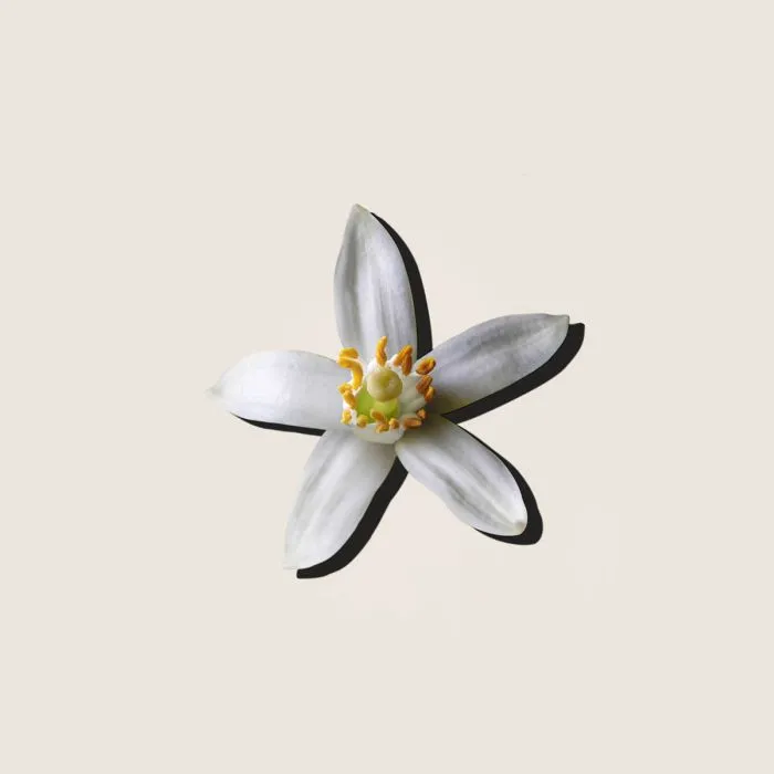 Alqvimia Neroli Essential Oil 5ml