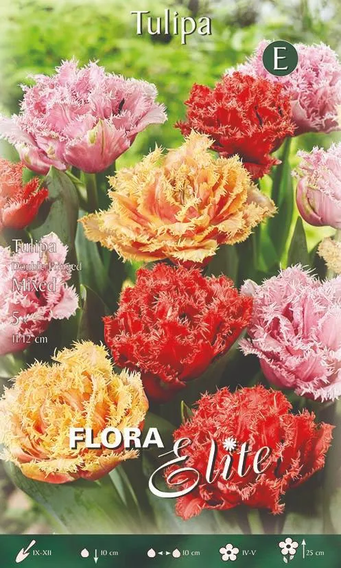 Mix Bulbi Tulipano Doppi Frangiati 5 Bulbi