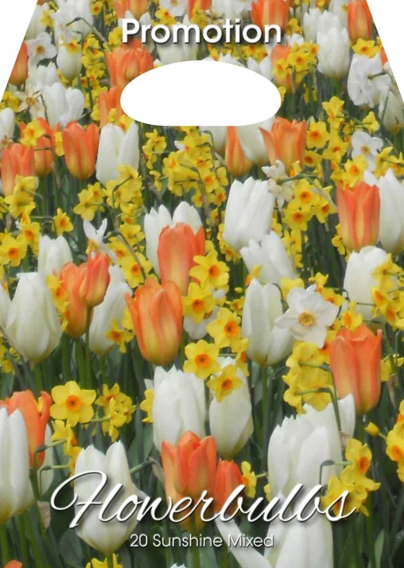 Mix Bulbi da Fiore Sunshine 20 Bulbi