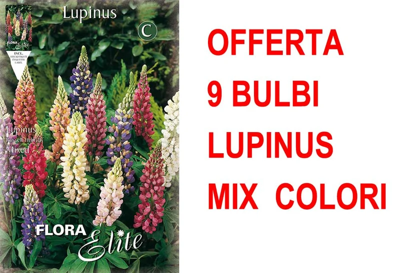 OFFERTA 9 BULBI LUPINUS MIX DI COLORI