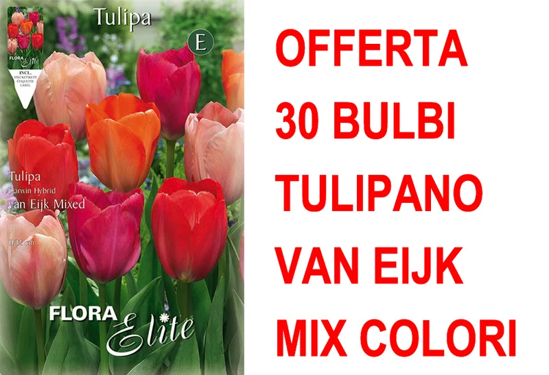 OFFERTA 30 BULBI TULIPANO DARWIN VAN EIJK MIXED