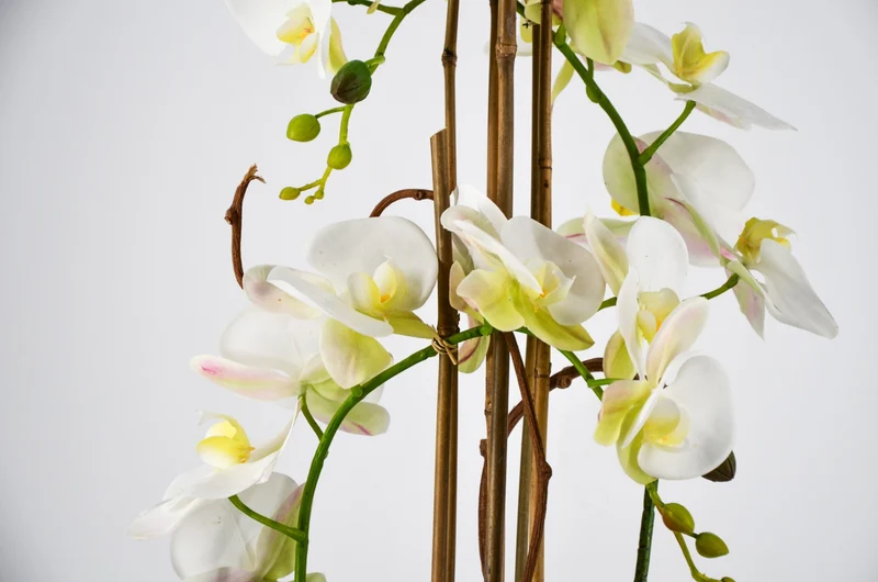 PHALAENOPSIS ORCHIDEA ARTIFICIALE 80CM CON VASO QUADRATO BIANCA