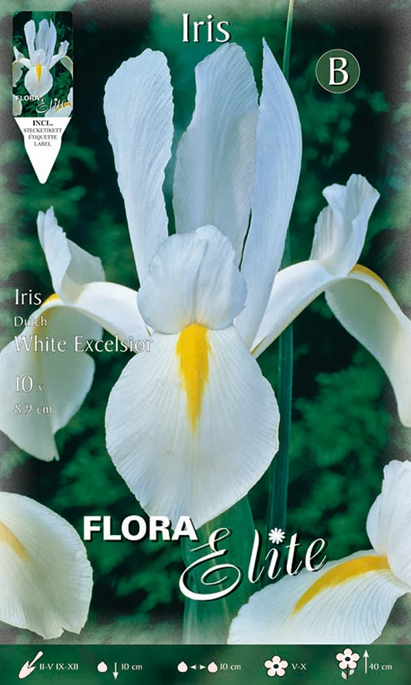 IRIS HOLLANDICA WHITE EXCELSIOR (CONFEZIONE DA 10 BULBI)