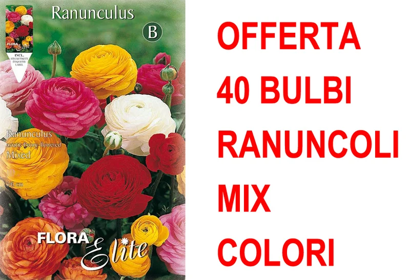 OFFERTA 40 BULBI RANUNCULUS ASIATIC MIXED