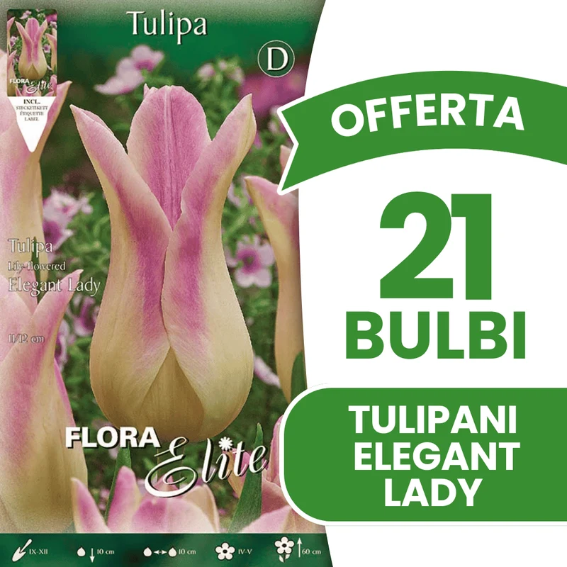 OFFERTA 21 BULBI TULIPANO FIOR DI GIGLIO ELEGANT LADY