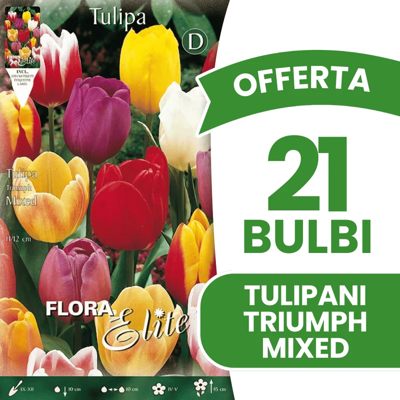 OFFERTA 21 BULBI TULIPANO TRIUMPH MIX DI COLORI