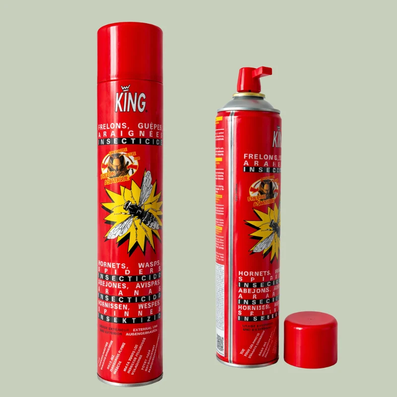 Bombe Guêpes & Frelons