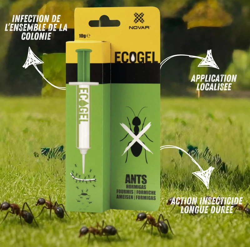 Ecogel Fourmis – Solution Radicale et Précise