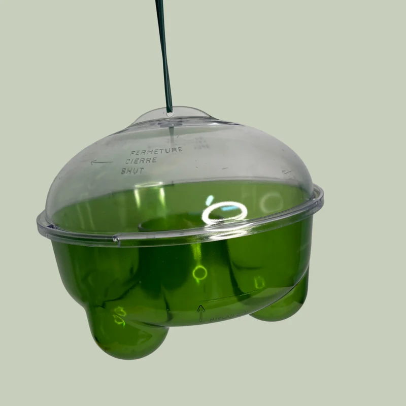 Piège écologique à guêpes et frelons Protecta – 2,4 L – Fabriqué en France