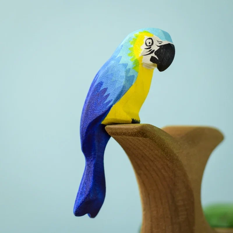 Perroquet bleu et jaune