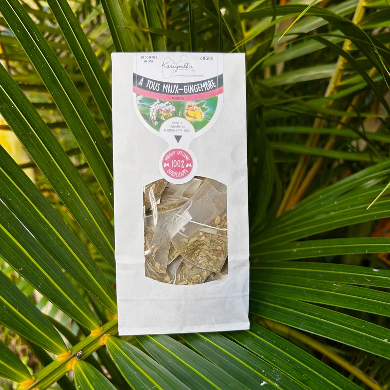 Tisane énergisante Atoumo et Gingembre - Fatigue et maux de l'hiver