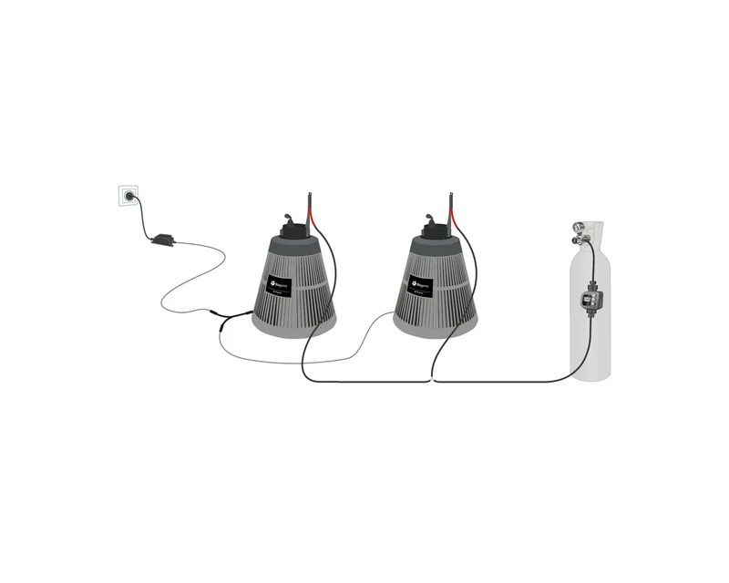 Pack réseau 2 BG-Protector — Protection professionnelle jusqu'à 600 m²