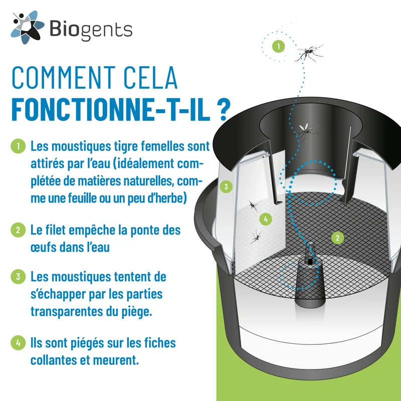 BG-GAT — Piège anti-ponte moustique tigre (lot de 2)