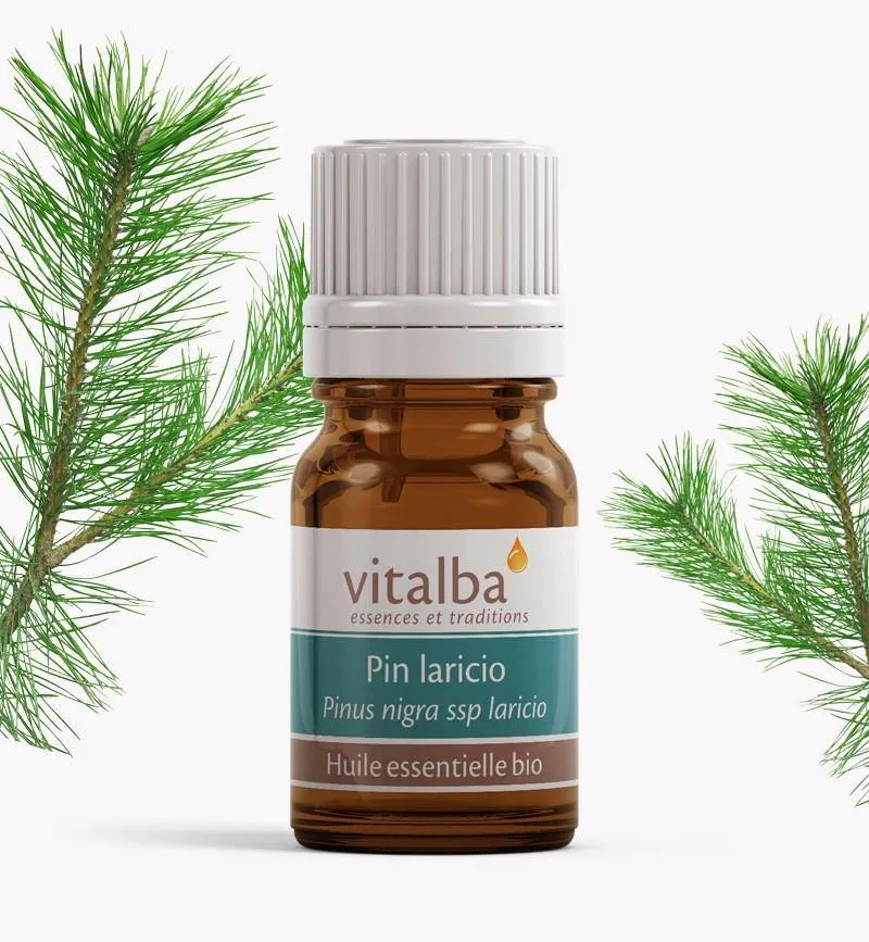Pin Lariccio Corse huile essentielle Bio - Vitalba 10ml