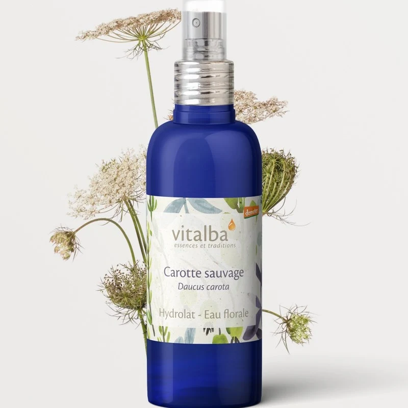 Carotte sauvage Bio Hydrolat Vitalba Corse 200ml
