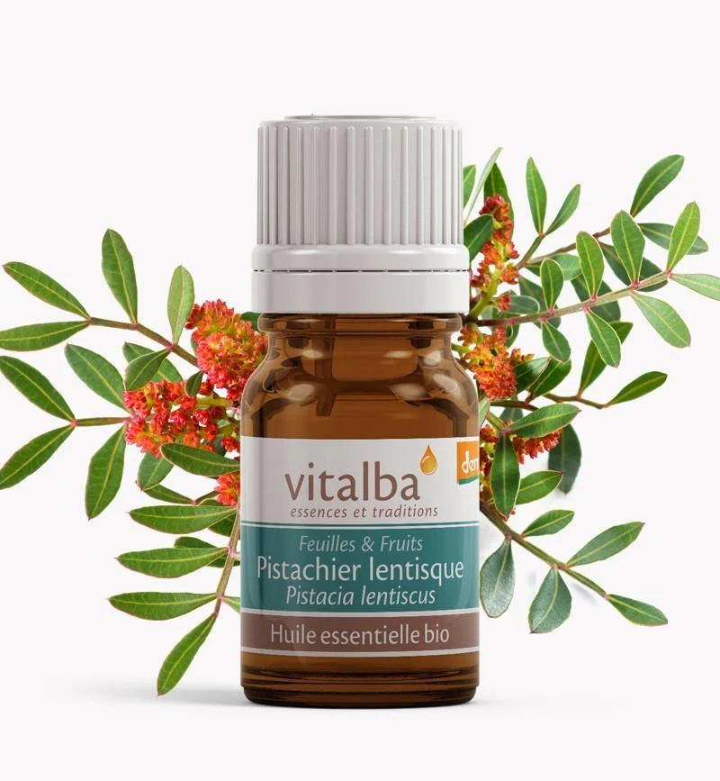 Pistachier Lentisque Corse huile essentielle Bio - Vitalba
