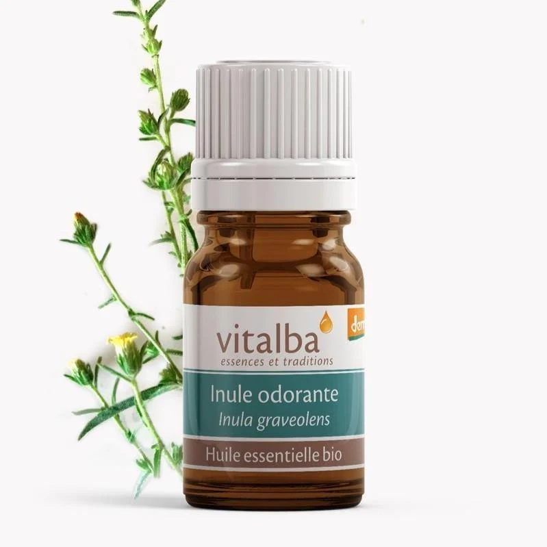 Inule Corse huile essentielle Bio - Vitalba