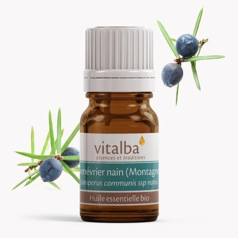 Genévrier Nain Corse huile essentielle Bio - Vitalba