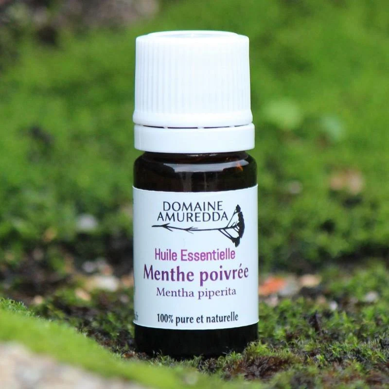 Menthe poivrée Corse Huile Essentielle Bio