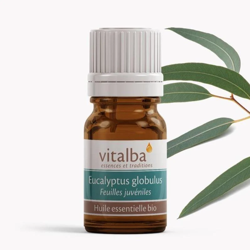 Eucalyptus globulus Corse huile essentielle - Vitalba 10ml