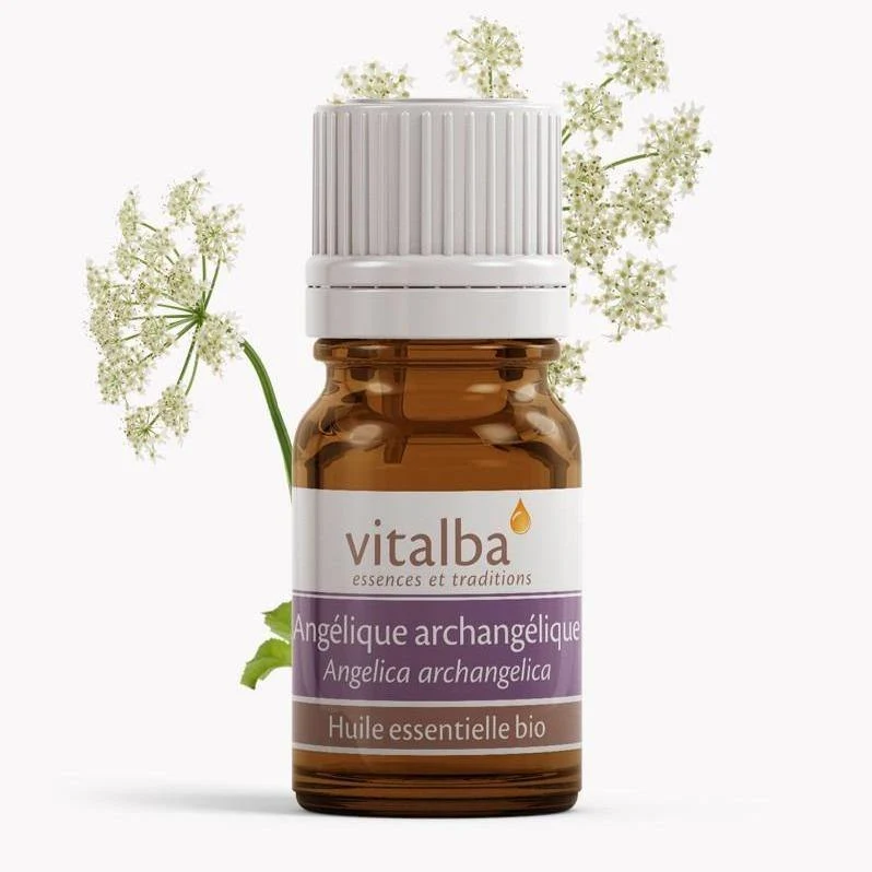 Angélique Archangélique huile essentielle Bio - Vitalba