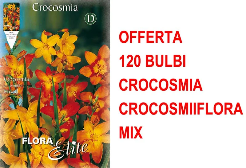 OFFERTA 120 BULBI CROCOSMIA CROCOSMIIFLORA MIX DI COLORI