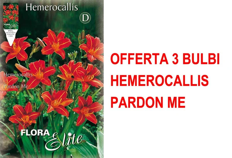 OFFERTA 3 BULBI HEMEROCALLIS PARDON ME