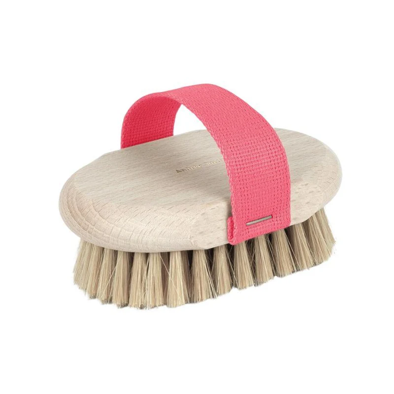 Brosse De Brossage À Sec - Hêtre
